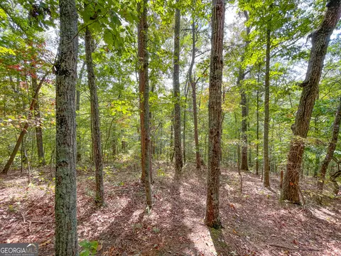 45 Acres On Rambling Rd, Fairmount, GA 30139 photo 15
