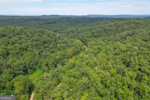 45 Acres On Rambling Rd, Fairmount, GA 30139 photo 14