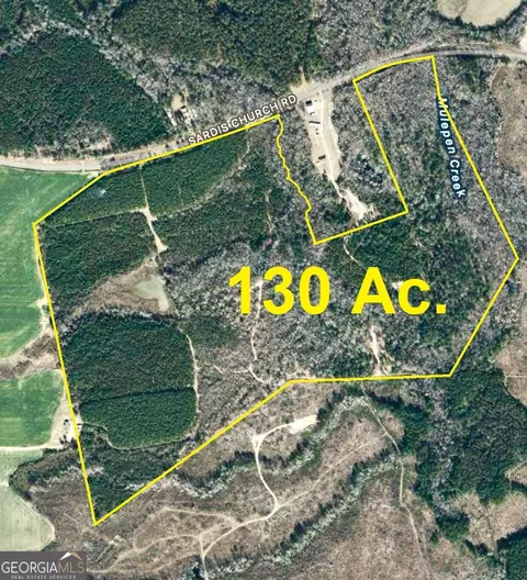 0 Sardis Church Rd, Kite, GA 31049