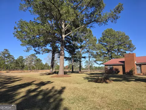 Exterior - 479 Mitchell Loop, Bluffton, GA 39824 photo 6 of 12
