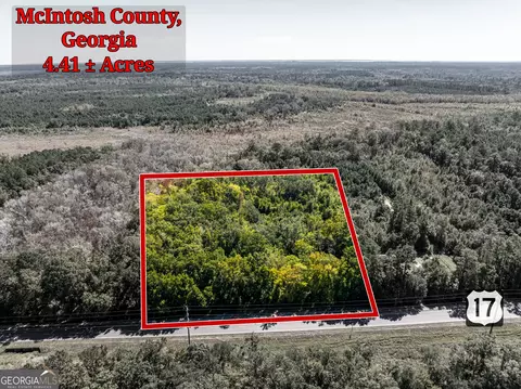 4 41 Acres Highway 17, Townsend, GA 31331