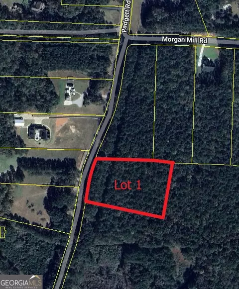 0 Padgett Rd #LOT 1, Senoia, GA 30276