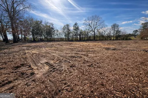 4539 Lewis Church Rd, Millen, GA 30442