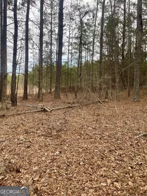 0 Padgett Rd #LOT 3, Senoia, GA 30276