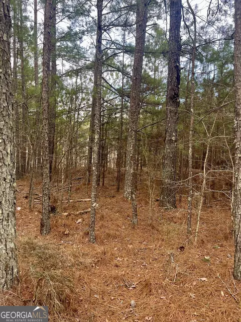 0 Padgett Rd #LOT 4, Senoia, GA 30276
