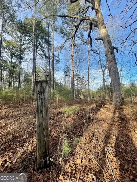 0 Padgett Rd #LOT 5, Senoia, GA 30276