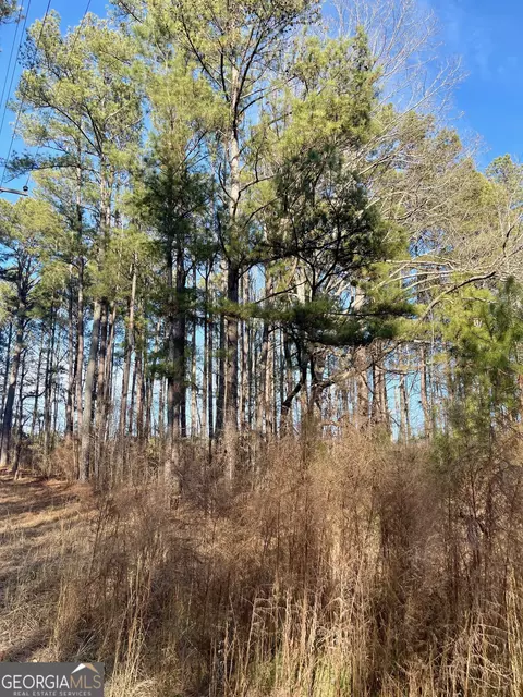 0 Padgett Rd #LOT 6, Senoia, GA 30276