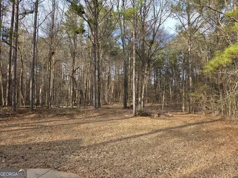 Exterior - 100 Willow Shoals Dr, Covington, GA 30016 photo 3 of 3