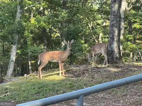0 Little Hendricks Mtn, Jasper, GA 30143 photo 20