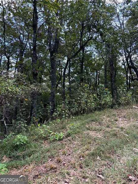 0 Little Hendricks Mtn, Jasper, GA 30143
