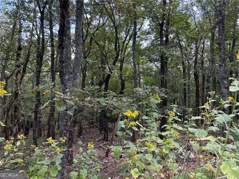 0 Little Hendricks Mtn, Jasper, GA 30143 photo 2
