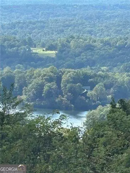 0 Little Hendricks Mtn, Jasper, GA 30143 photo 15