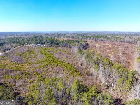 0 Steadman Rd, Tallapoosa, GA 30176