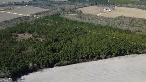 Tract 4 Greyhound Road, Mershon, GA 31551