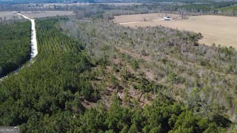 Tract 5 Greyhound Road, Mershon, GA 31551