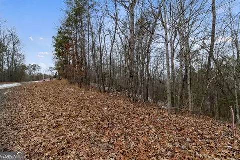 TR4 Curtis Ridge Road #4, Blue Ridge, GA 30513