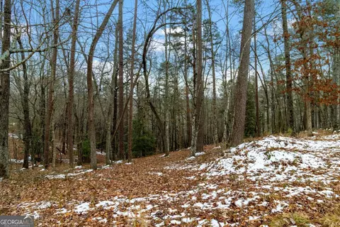 lot5 Curtis Ridge Rd #5, Blue Ridge, GA 30513