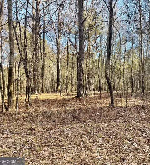 0 Padgett Rd #LOT 8 FAYETTE PADGETT 14, Senoia, GA 30276