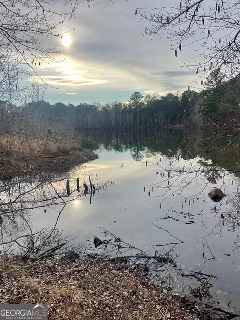 0 Padgett Rd #LOT 10, Senoia, GA 30276