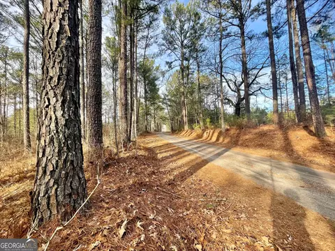 0 Padgett Rd #LOT 12, Senoia, GA 30276