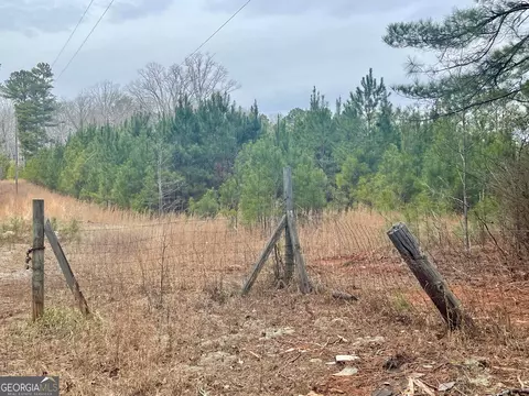 0 Padgett Rd #LOT 13, Senoia, GA 30276