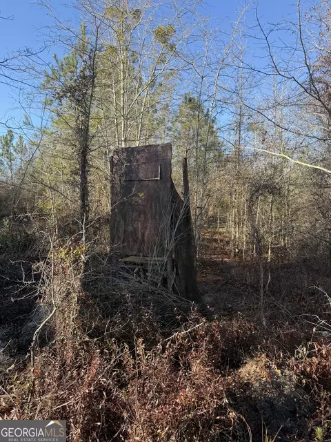 ----- Sr 19, Dublin, GA 31021 photo 28