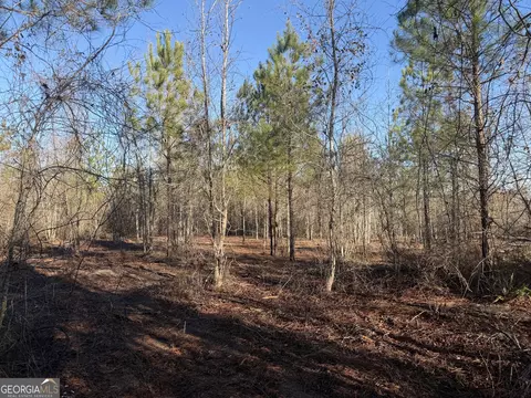 ----- Sr 19, Dublin, GA 31021 photo 31