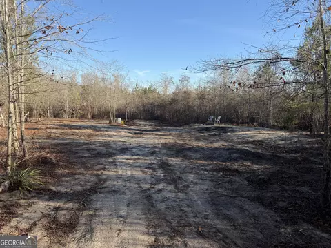 ----- Sr 19, Dublin, GA 31021 photo 22