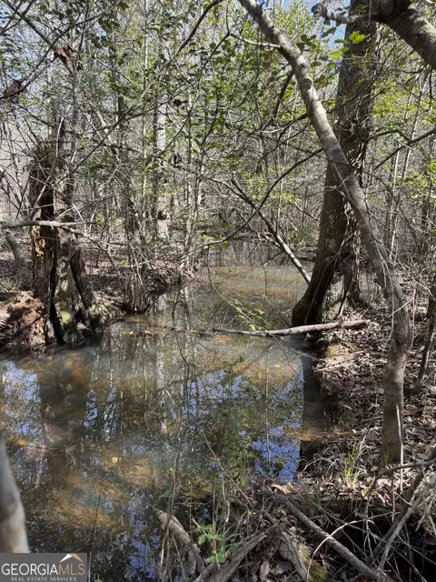 ----- Sr 19, Dublin, GA 31021 photo 14
