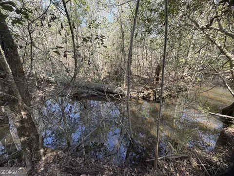 ----- Sr 19, Dublin, GA 31021 photo 11
