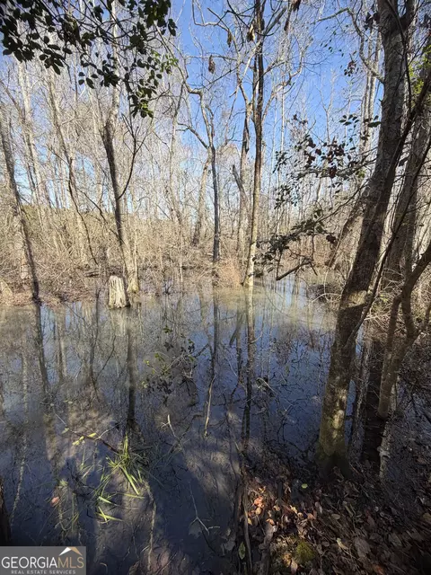 ----- Sr 19, Dublin, GA 31021 photo 20