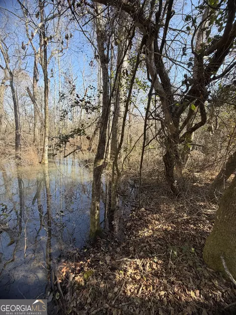 ----- Sr 19, Dublin, GA 31021 photo 18