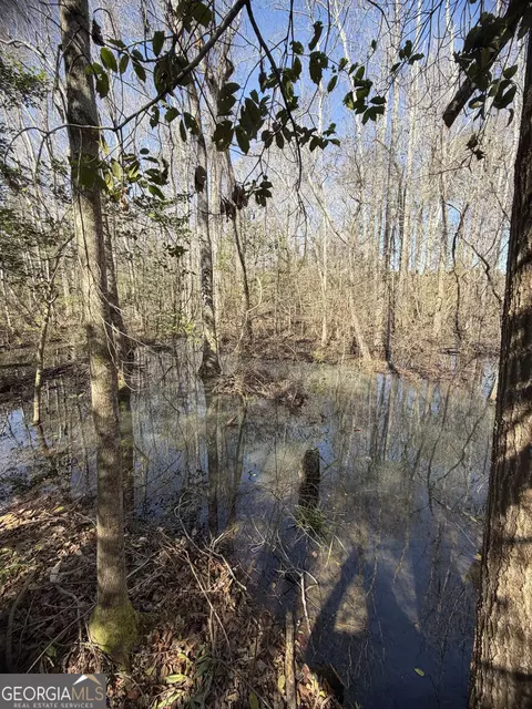 ----- Sr 19, Dublin, GA 31021 photo 19