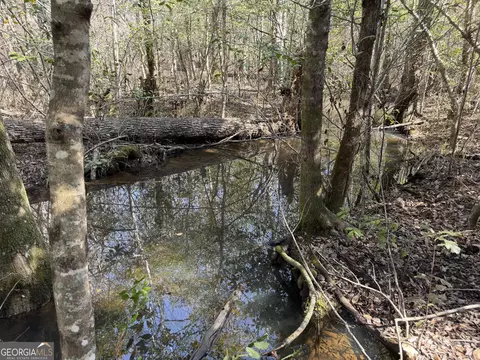 ----- Sr 19, Dublin, GA 31021 photo 15