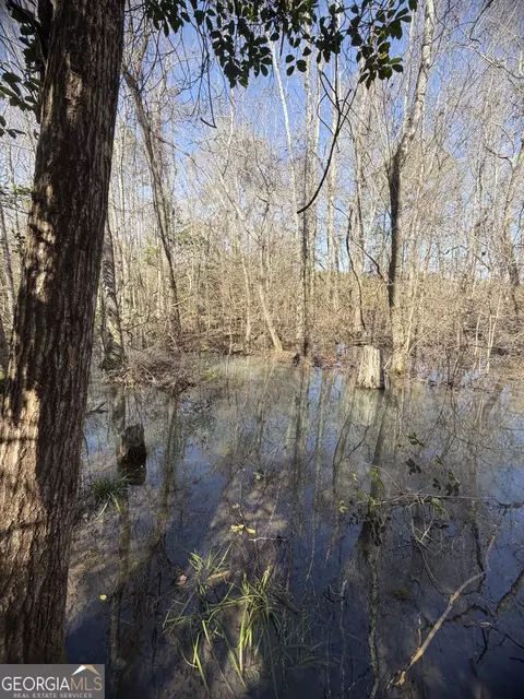 ----- Sr 19, Dublin, GA 31021 photo 16
