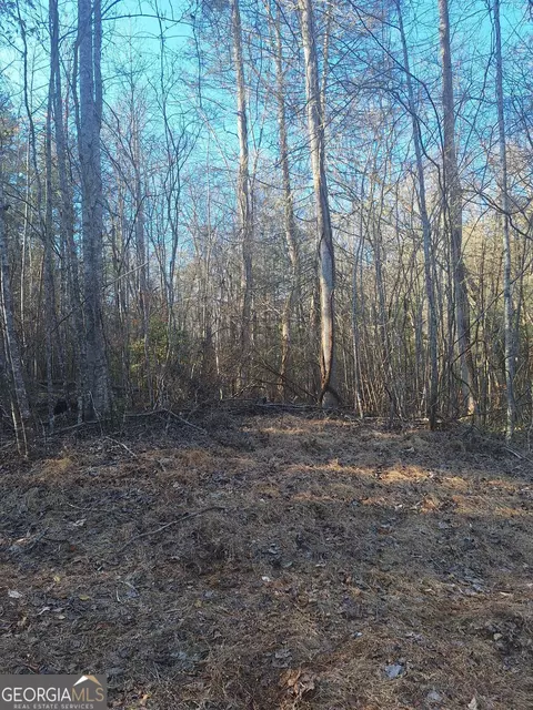 0 Bent Wood Ln, Blue Ridge, GA 30513