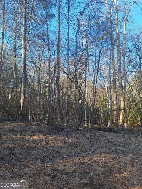 lot S 15a 16a 17 Mill Creek Acres Ln, Blue Ridge, GA 30513