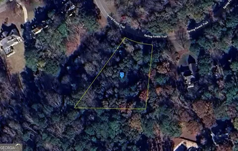 49 Spring Forest Trl, Sharpsburg, GA 30277