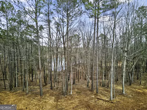 4156 Upper River Rd #LOT 15 &16, Gray, GA 31032 photo 10
