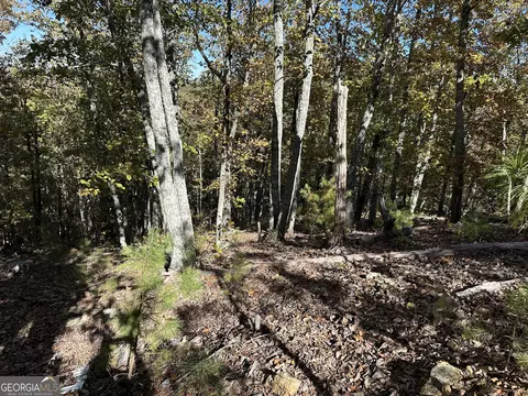 Tr 3 Culp Lake Road, Cedartown, GA 30125