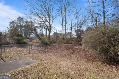 Exterior - 11203 Knotty Pine Pl, Hampton, GA 30228 photo 2 of 4