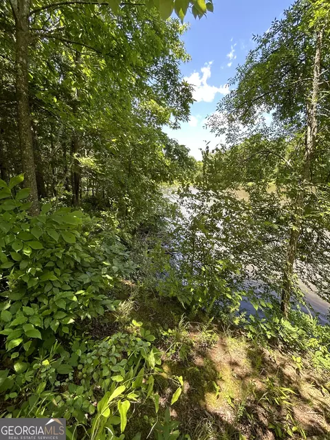 0 Sawtooth Pl, Carnesville, GA 30521 photo 20