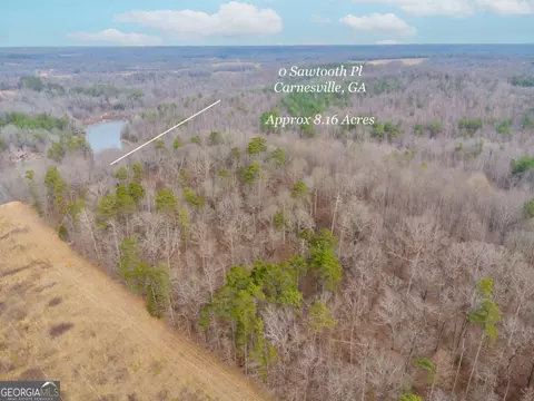0 Sawtooth Pl, Carnesville, GA 30521 photo 6