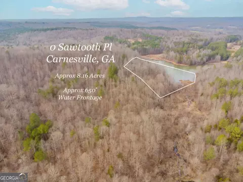 0 Sawtooth Pl, Carnesville, GA 30521 photo 13