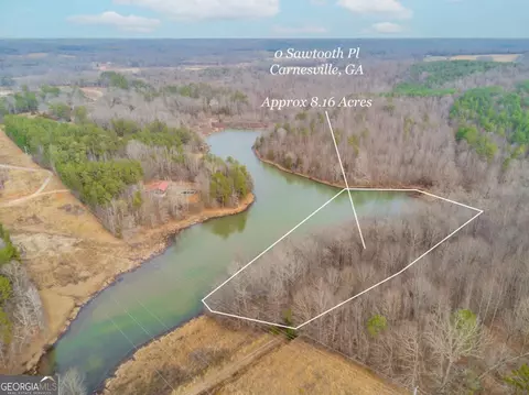 0 Sawtooth Pl, Carnesville, GA 30521 photo 5