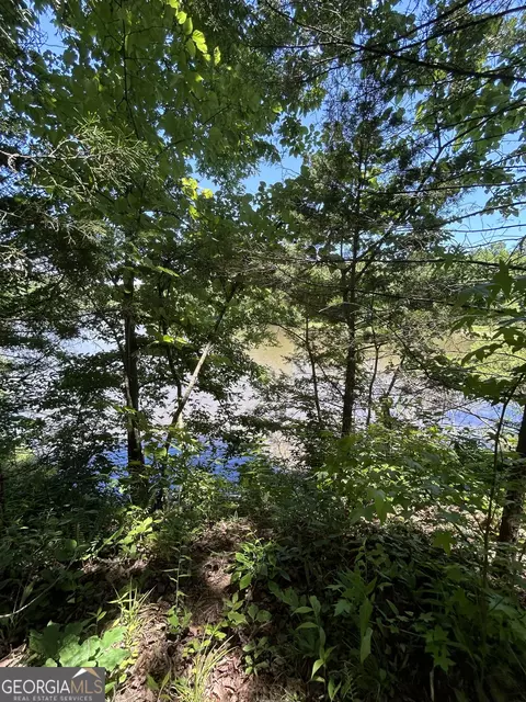 0 Sawtooth Pl, Carnesville, GA 30521 photo 19