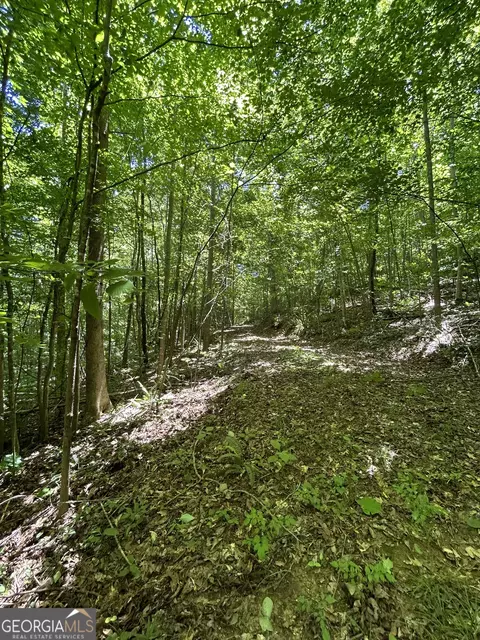 0 Sawtooth Pl, Carnesville, GA 30521 photo 18