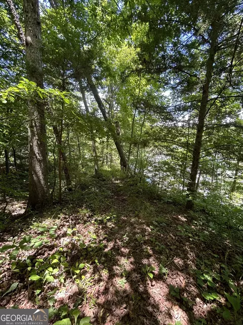 0 Sawtooth Pl, Carnesville, GA 30521 photo 21