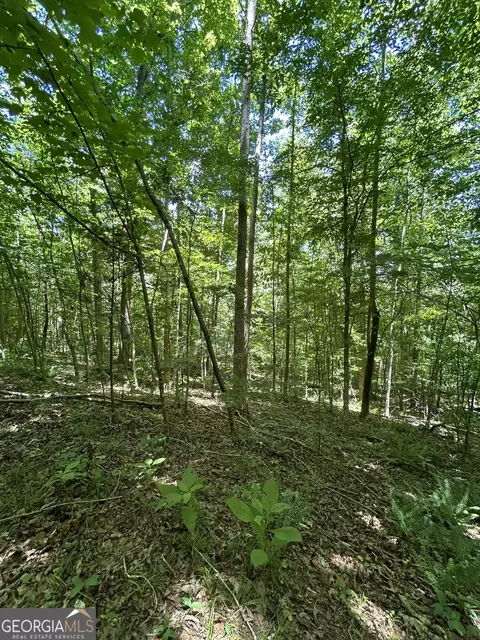 0 Sawtooth Pl, Carnesville, GA 30521 photo 17