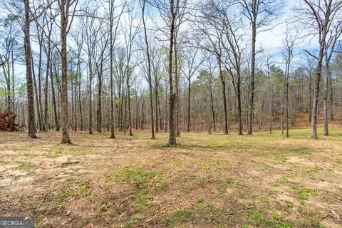 Exterior - 733 Cherry Rd, Franklin, GA 30217 photo 13 of 20